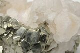 Fluorescent Calcite Crystals on Pyrite - Peru #213635-2
